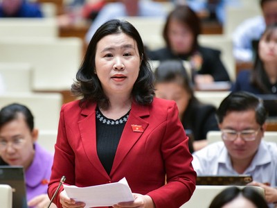 Đại biểu Lê Thị Song An (đoàn Long An)