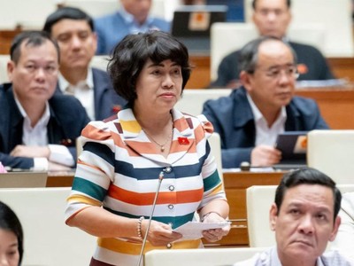 Đại biểu Nguyễn Thị Lệ Thủy (đoàn Bến Tre) phát biểu tại hội trường chiều 27/11