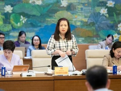 Bà Vũ Thị Lưu Mai, Phó Chủ nhiệm Ủy ban Kinh tế, Tài chính của Quốc hội phát biểu tại phiên họp.