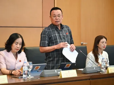 Đại biểu Nguyễn Như So, đoàn Bắc Ninh, Chủ tịch Tập đoàn Dabaco