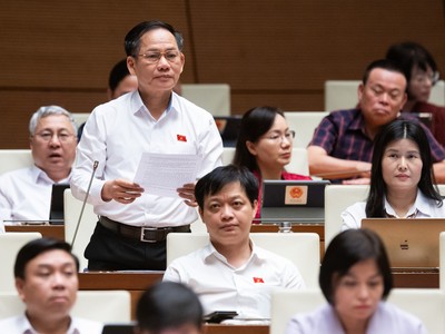 Đại biểu Trần Đình Gia (đoàn Hà Tĩnh)