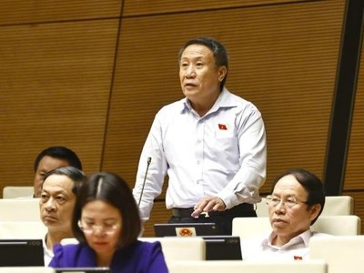 Đại biểu Hà Sỹ Đồng (đoàn Quảng Trị)