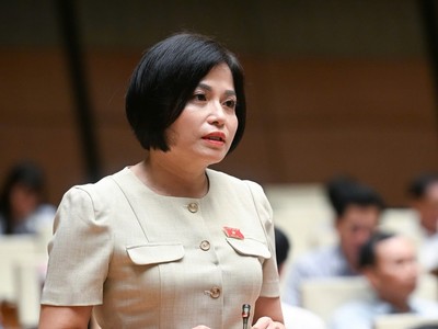 Đại biểu Thái Quỳnh Mai Dung (đoàn Vĩnh Phúc)