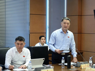 Đại biểu Bùi Văn Mạnh (đoàn Ninh Bình) phát biểu tại tổ sáng 20/4