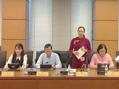 Đại biểu Nguyễn Thị Yến Nhi (đoàn Vĩnh Long) đề nghị nâng mức giảm trừ gia cảnh tại Luật Thuế thu nhập cá nhân.