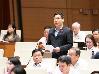 Đại biểu Quốc hội Đỗ Đức Hồng Hà (đoàn TP Hà Nội) phát biểu ở hội trường sáng 22/4.