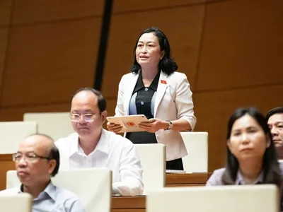 Đại biểu Quốc hội Trần Thị Hoa Ry (đoàn Cà Mau) 