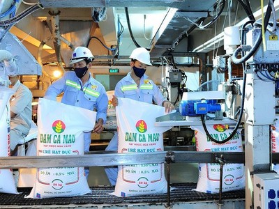 Nếu nghị định về miễn thuế xuất khẩu 3 loại phân bón được thông qua, DCM có thể ghi nhận thêm hơn 200 tỷ đồng lợi nhuận/năm, do không phải nộp thuế.