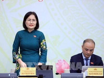 Bà Trần Thị Kim Nhung, Ủy viên hoạt động chuyên trách tại Ủy ban Pháp luật và Tư pháp của Quốc hội trả lời tại họp báo - Ảnh: TTXVN
