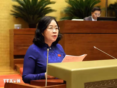 Cử tri lo ngại lừa đảo sử dụng AI, hàng giả và chậm giải quyết thủ tục đất đai