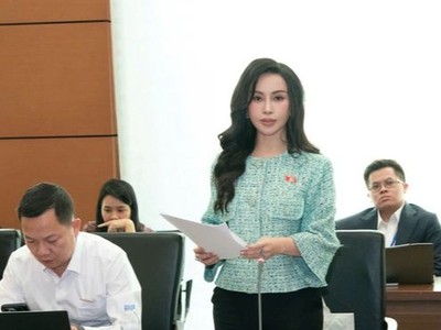 Đại biểu Lê Nữ Thùy Dương (đoàn Đồng Nai) đề nghị luật hoá quy định chứng khoán hoá khoản nợ