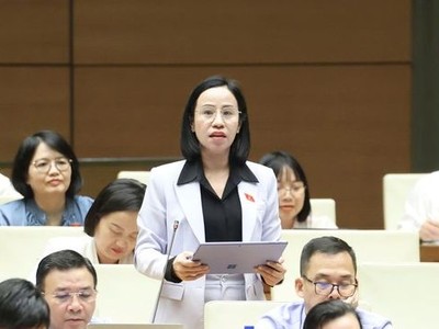 Đại biểu Võ Ngọc Thanh Trúc (đoàn TPHCM) thảo luận về dự án Luật Nhà ở (sửa đổi) chiều 28/10.