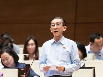 Đại biểu Trần Hoàng Ngân (TP Hồ Chí Minh) phát biểu tại hội trường Quốc hội sáng 31/10.