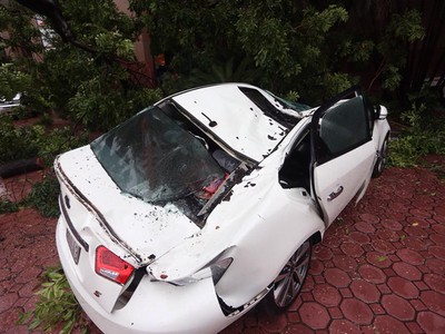 Xe ô tô bị cây đổ đè bẹp hoàn toàn tại Hà Nội