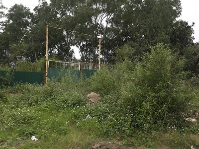 Cỏ hoang, rác thải... ngập quá đầu người trong khu đô thị Thịnh Liệt