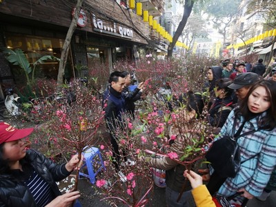 Lung linh sắc màu chợ hoa Hàng Lược 