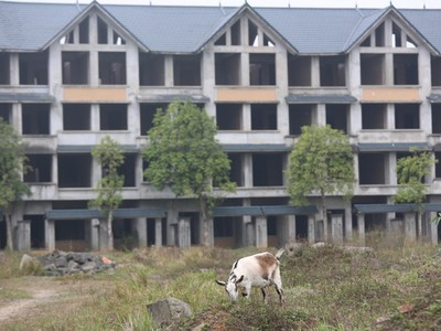 Dê, trâu tung tăng gặm cỏ, nghỉ ngơi trong biệt thự