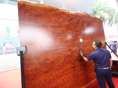 Sập gỗ 3,7 tỷ đồng thu hút người xem tại Vietbuild 2018