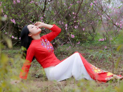 Đào nở bung, người người nô nức ra vườn đào chụp ảnh