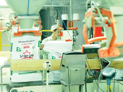 Mavin Austfeed đưa vào vận hành Nhà máy Chế biến Thức ăn Thủy sản tại Hưng Yên