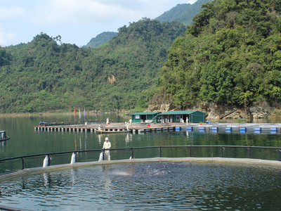 Dự án ứng dụng công nghệ nuôi lồng tròn NaUy, với thể tích 2.000m3/lồng, năng suất tối đa 50 tấn cá/vụ