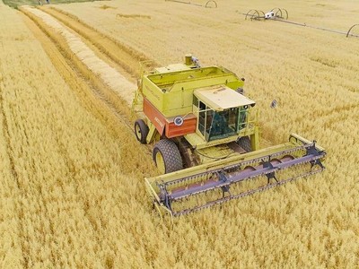 Nguồn nguyên liệu có trong sản phẩm được trồng trọt trên những trang trại hữu cơ được chứng nhận NutriCert