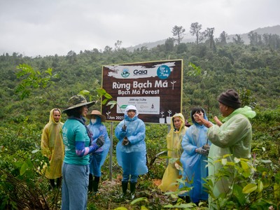 Manulife Việt Nam phát động chương trình “Góp Email Trồng Rừng”, ủng hộ 2.000 cây tới Vườn Quốc gia Bạch Mã