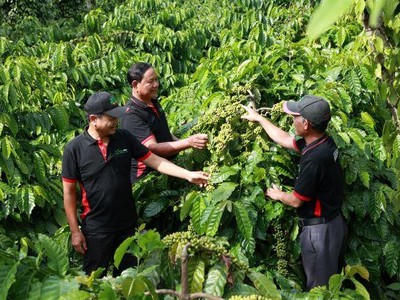 Để tăng giá trị xuất khẩu cho hạt cà phê, Nestlé Việt Nam đầu tư từ phát triển nguồn nguyên liệu bền vững cho đến công nghệ chế biến