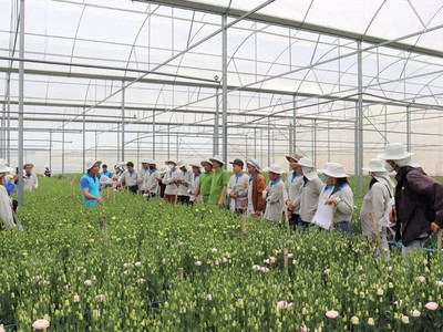 Yara Việt Nam chuyển đổi toàn diện, tập trung vào thương mại và các dịch vụ bền vững 