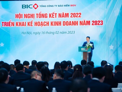 Năm 2022, lợi nhuận hợp nhất trước thuế của BIC đạt 393 tỷ đồng