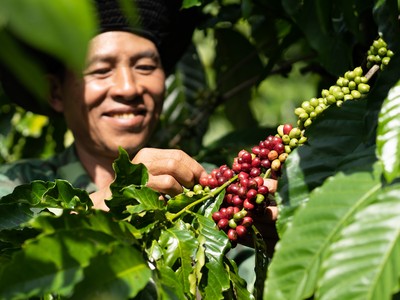 Nestlé thúc đẩy nền nông nghiệp phát thải thấp qua mô hình nông nghiệp tái sinh