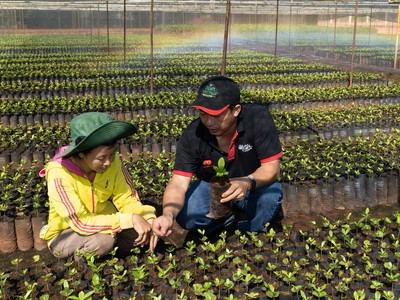 Thương hiệu Nestlé được định giá lên đến 22,4 tỷ USD