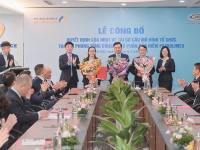 Bảo hiểm PJICO tái cơ cấu Văn phòng Tổng công ty