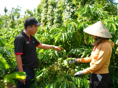 Cán bộ của chương trình NESCAFÉ Plan tập huấn và hỗ trợ các nông hộ thực hiện các phương pháp canh tác bền vững