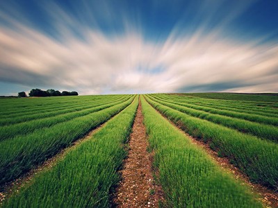 PAN: Lợi nhuận của các mảng cốt lõi vẫn tăng trưởng khả quan