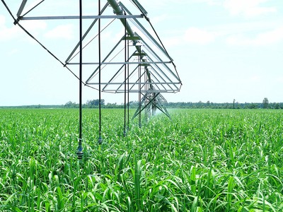 SBT dự kiến kết thúc chuyển giao cổ phiếu hoán đổi vào ngày 6/10