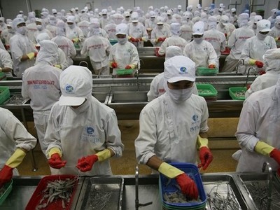 MPC chốt danh sách thưởng cổ phiếu tỷ lệ 1:1 cho cổ đông hiện hữu