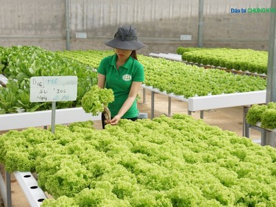 Miễn, giảm thuế có phải là giải pháp tối ưu để doanh nghiệp lớn lên?