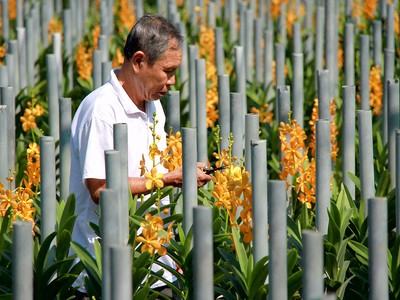 Đổi mới tư duy phát triển là sự thay đổi cách thức suy nghĩ, quan niệm, cách tiếp cận về mô hình phát triển (ảnh: internet)