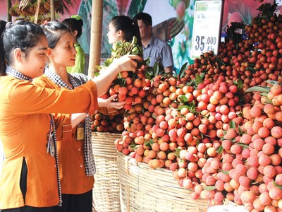 Nông sản Việt như cô gái đẹp, nhưng chỉ ngồi nhà chờ người đến tán tỉnh