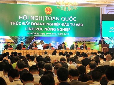 Nhận diện 10 khó khăn trong thúc đẩy đầu tư vào nông nghiệp