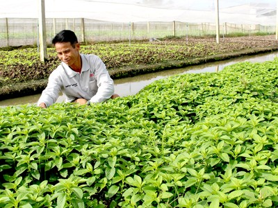 Đã tổng kết được một số mô hình thành công trong ứng phó biến đổi khí hậu tại đồng bằng sông Cửu Long