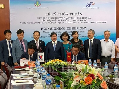 Hàn Quốc và Việt Nam hợp tác cải thiện chuỗi giá trị lúa gạo tại đồng bằng sông Hồng
