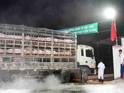 Giải bài toán giá thịt lợn, sớm nhất tới quý IV mới đủ nguồn cung như bình thường trước dịch