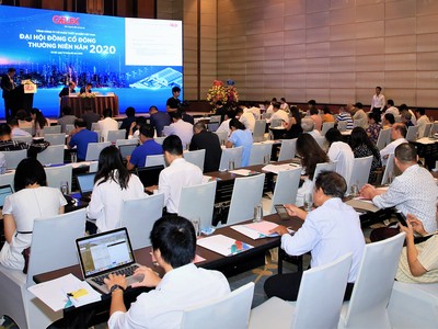 ĐHCĐ Gelex (GEX): Đặt mục tiêu thâu tóm Viglacera, đưa ra 2 kịch bản kế hoạch kinh doanh