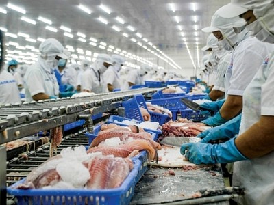 Gần 15.000 hồ sơ C/O trị giá 700 triệu USD được cấp cho hàng xuất khẩu vào EU 