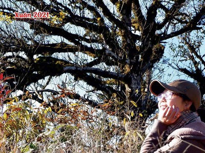 Những cung đường hạnh phúc