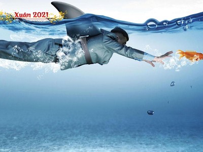 Doanh nghiệp địa ốc gom cổ phiếu, săn quỹ đất 