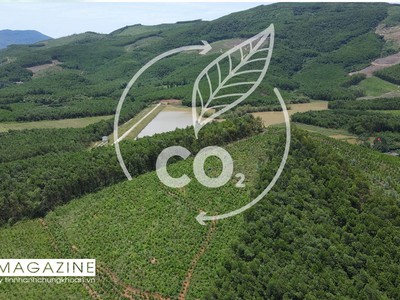 Agribank - mắt xích tài chính trong chuỗi giá trị tín chỉ carbon