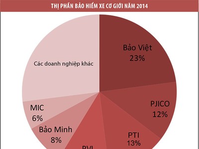 Cần công khai lịch sử tổn thất xe toàn thị trường